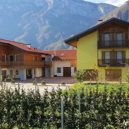 Villa Agritur Clementi Nave San Rocco Exterior foto