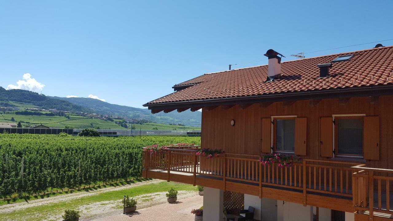 Villa Agritur Clementi Nave San Rocco Exterior foto