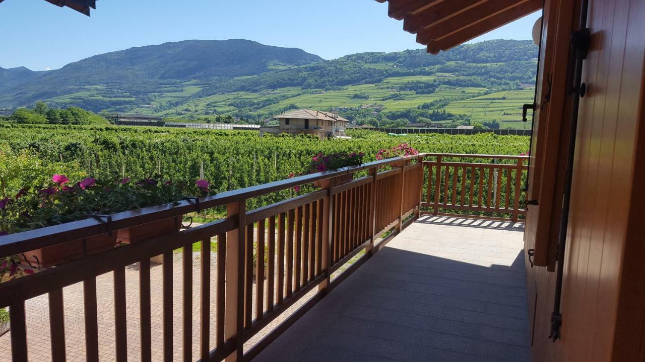 Villa Agritur Clementi Nave San Rocco Exterior foto