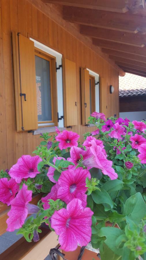 Villa Agritur Clementi Nave San Rocco Exterior foto