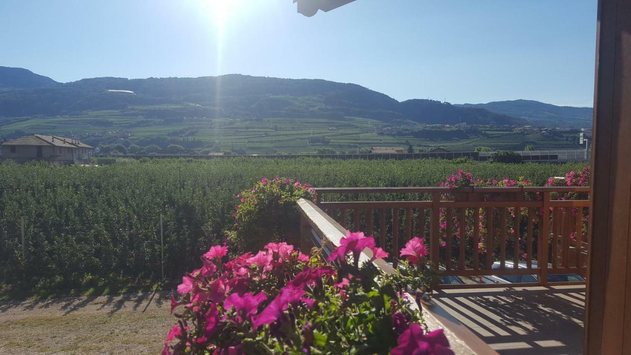 Villa Agritur Clementi Nave San Rocco Exterior foto