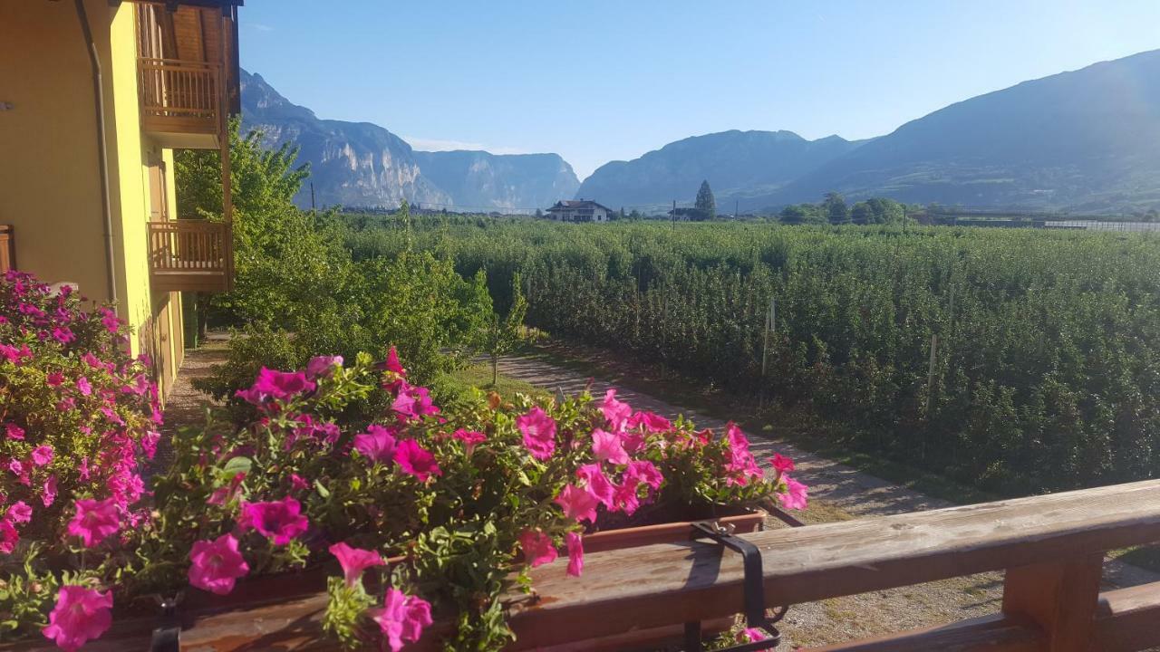 Villa Agritur Clementi Nave San Rocco Exterior foto