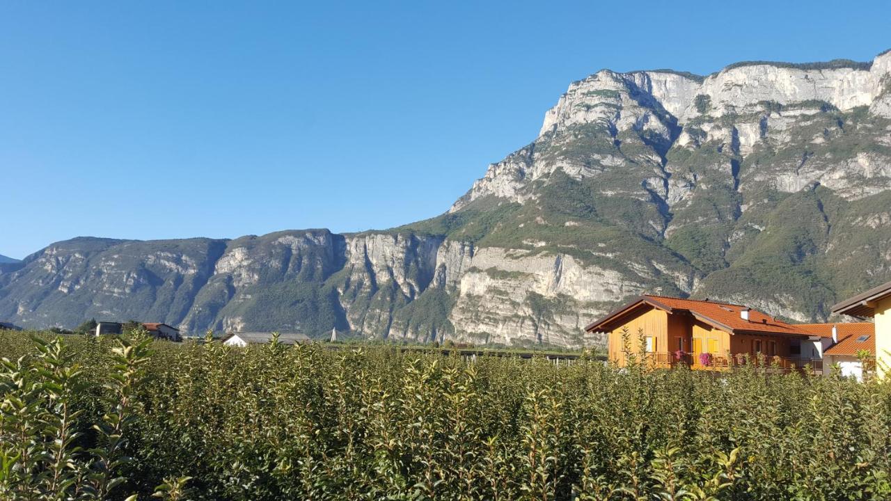 Villa Agritur Clementi Nave San Rocco Exterior foto
